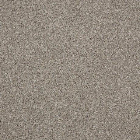 Cormar Zenith Carpet Exen Flooring