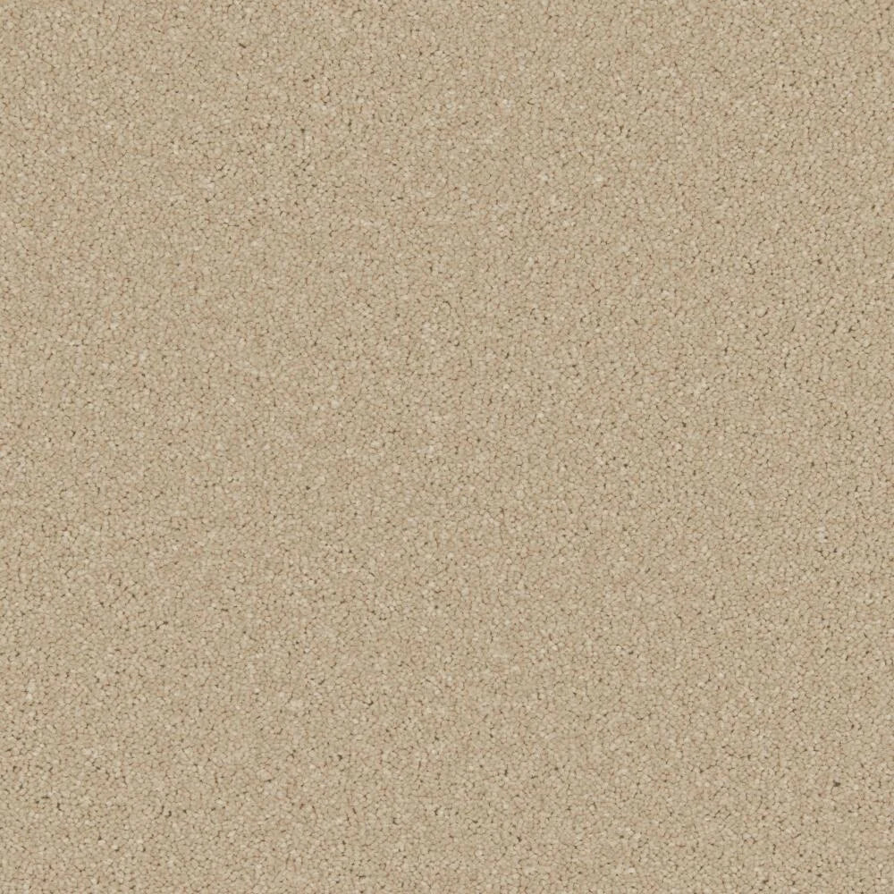Cormar Zenith Carpet Exen Flooring