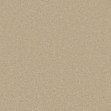 Cormar Zenith Carpet Exen Flooring