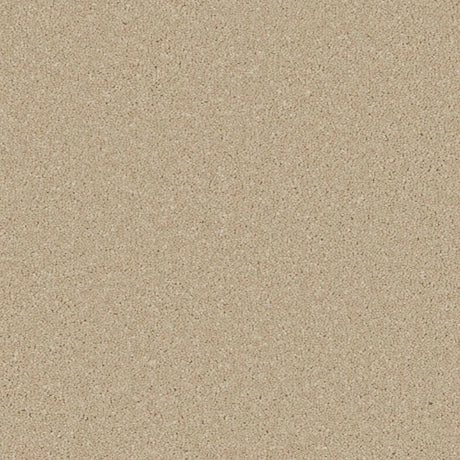 Cormar Zenith Carpet Exen Flooring