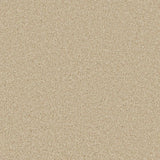 Cormar Zenith Carpet Exen Flooring