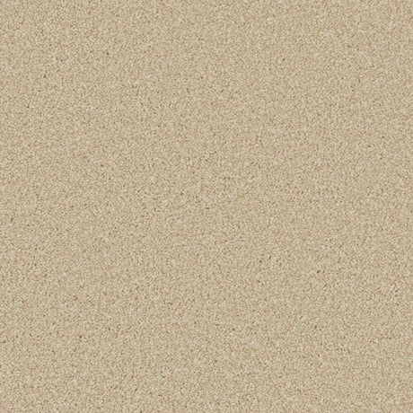 Cormar Zenith Carpet Exen Flooring