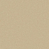 Cormar Zenith Carpet Exen Flooring