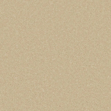 Cormar Zenith Carpet Exen Flooring