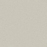 Cormar Zenith Carpet Exen Flooring