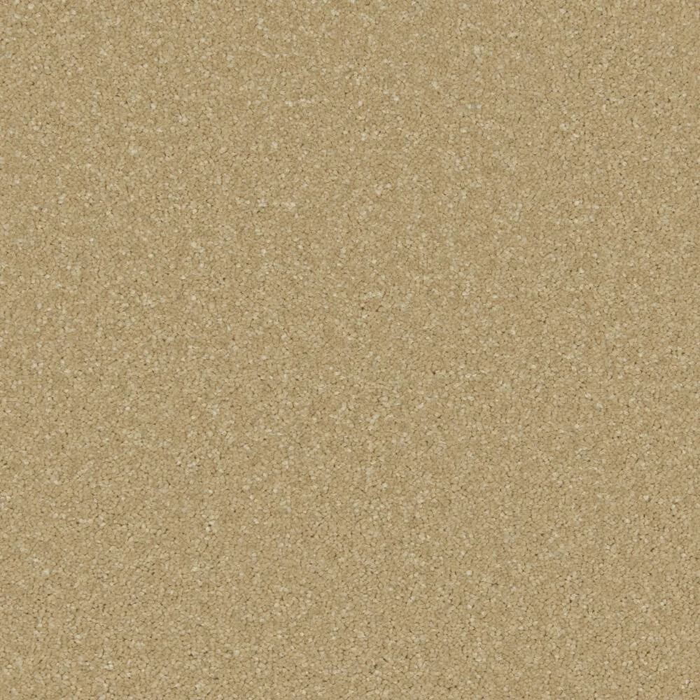 Cormar Zenith Carpet Exen Flooring