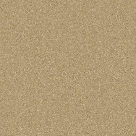 Cormar Zenith Carpet Exen Flooring