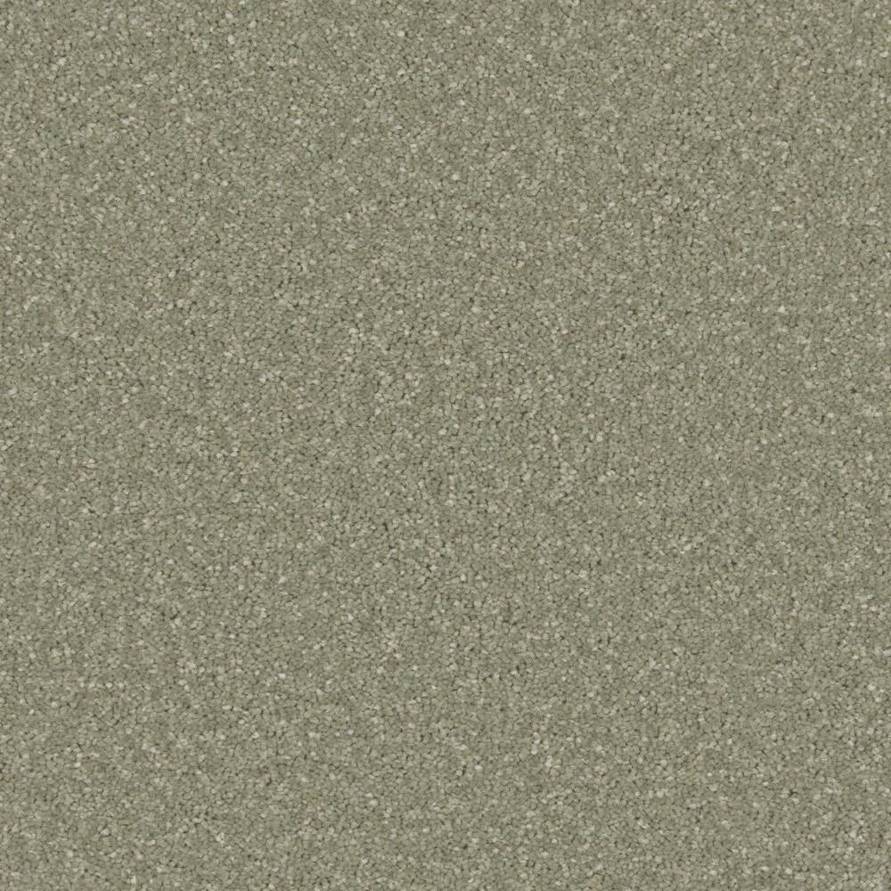 Cormar Zenith Carpet Exen Flooring