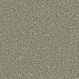 Cormar Zenith Carpet Exen Flooring