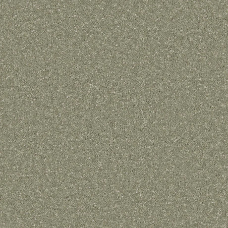 Cormar Zenith Carpet Exen Flooring