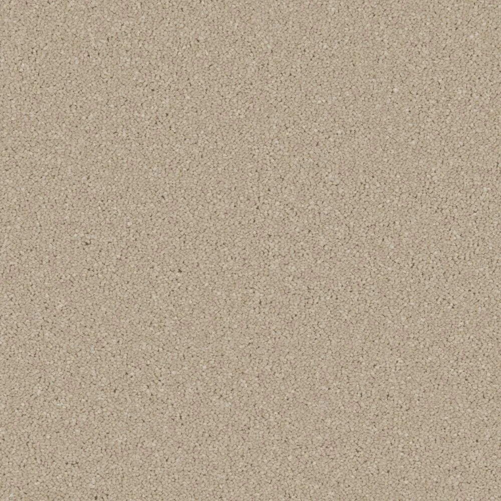 Cormar Zenith Carpet Exen Flooring