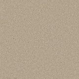 Cormar Zenith Carpet Exen Flooring