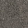 Forbo Marmoleum Authentic Exen Flooring
