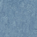 Forbo Marmoleum Authentic Exen Flooring