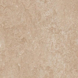 Forbo Marmoleum Authentic Exen Flooring