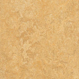 Forbo Marmoleum Authentic Exen Flooring