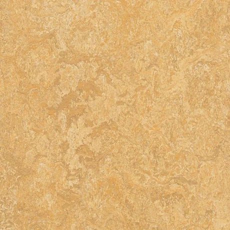 Forbo Marmoleum Authentic Exen Flooring