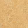 Forbo Marmoleum Authentic Exen Flooring