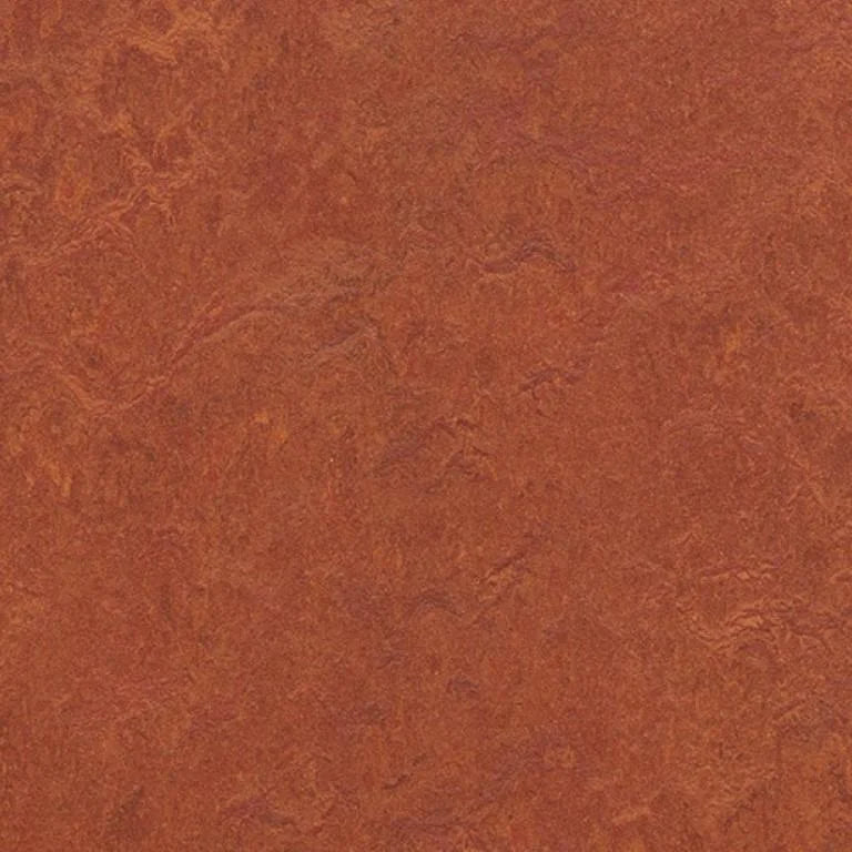 Forbo Marmoleum Authentic Exen Flooring