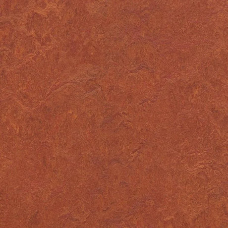 Forbo Marmoleum Authentic Exen Flooring
