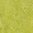 Forbo Marmoleum Authentic Exen Flooring
