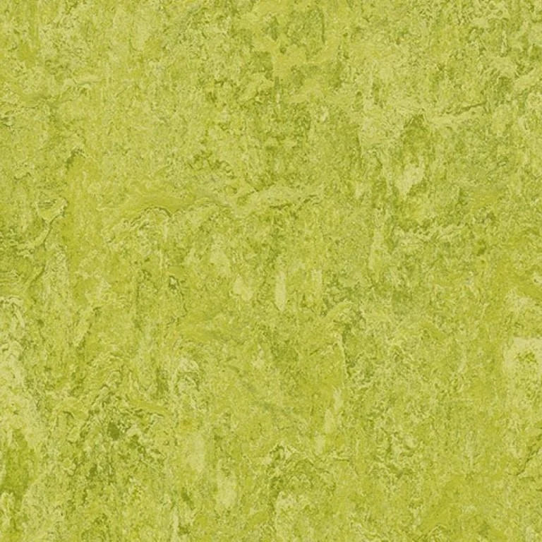 Forbo Marmoleum Authentic Exen Flooring