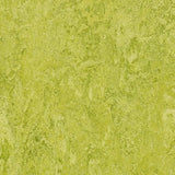 Forbo Marmoleum Authentic Exen Flooring