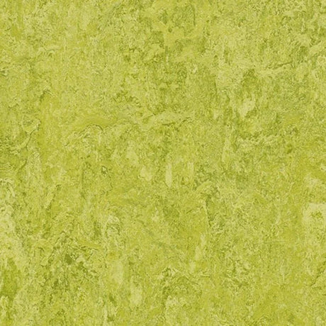 Forbo Marmoleum Authentic Exen Flooring