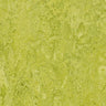 Forbo Marmoleum Authentic Exen Flooring