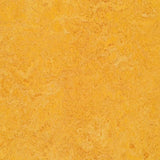 Forbo Marmoleum Authentic Exen Flooring