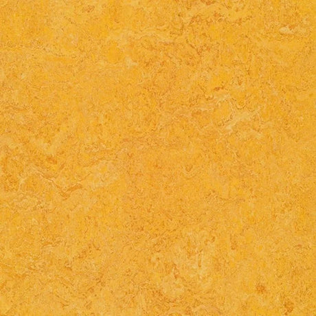 Forbo Marmoleum Authentic Exen Flooring