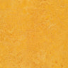 Forbo Marmoleum Authentic Exen Flooring