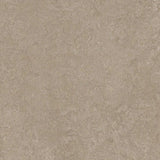 Forbo Marmoleum Authentic Exen Flooring