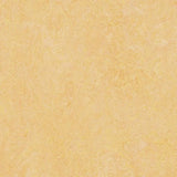 Forbo Marmoleum Authentic Exen Flooring