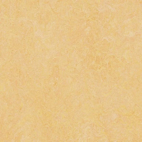 Forbo Marmoleum Authentic Exen Flooring