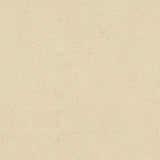 Forbo Marmoleum Authentic Exen Flooring