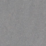 Forbo Marmoleum Authentic Exen Flooring