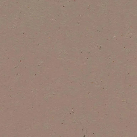 Forbo Marmoleum Cocoa Exen Flooring