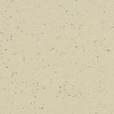 Forbo Marmoleum Cocoa Exen Flooring