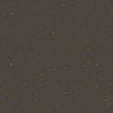 Forbo Marmoleum Cocoa Exen Flooring