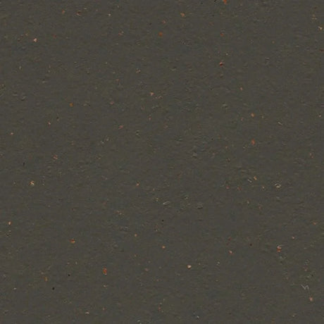 Forbo Marmoleum Cocoa Exen Flooring