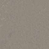 Forbo Marmoleum Concrete 2.5mm Exen Flooring