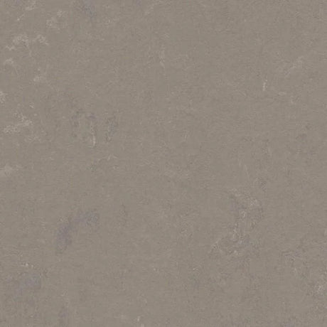 Forbo Marmoleum Concrete 2.5mm Exen Flooring