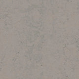 Forbo Marmoleum Concrete 2.5mm Exen Flooring