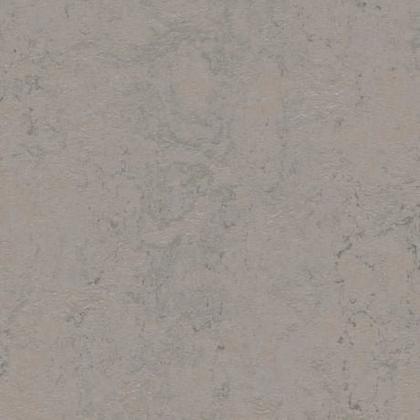 Forbo Marmoleum Concrete 2.5mm Exen Flooring