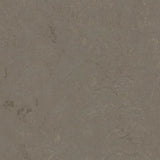 Forbo Marmoleum Concrete 2.5mm Exen Flooring