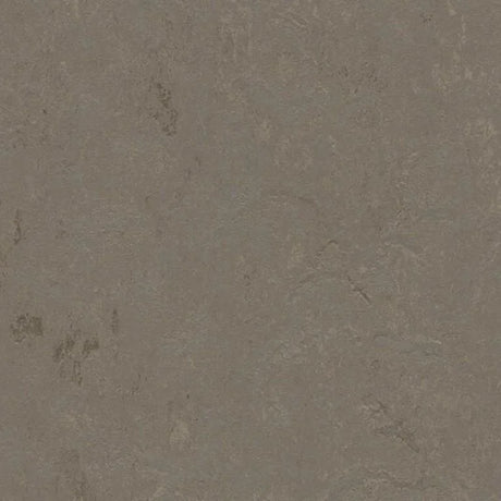Forbo Marmoleum Concrete 2.5mm Exen Flooring