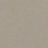 Forbo Marmoleum Concrete 2.5mm Exen Flooring