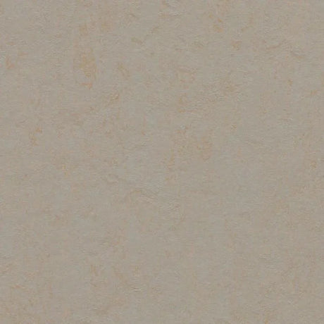 Forbo Marmoleum Concrete 2.5mm Exen Flooring
