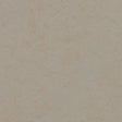 Forbo Marmoleum Concrete 3.5mm Exen Flooring